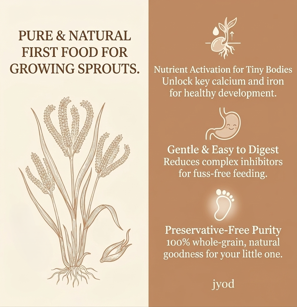 Sprouted Ragi - 500g