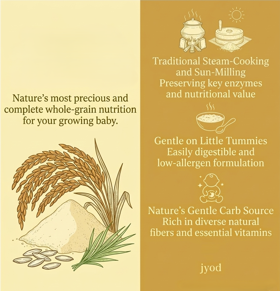 Navara Rice Powder - 500g